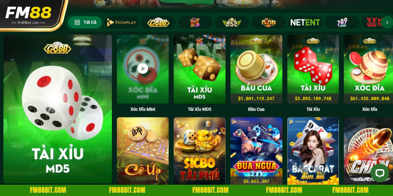 Hướng dẫn phương thức báo cáo giúp newbie dễ thao tác hơn
